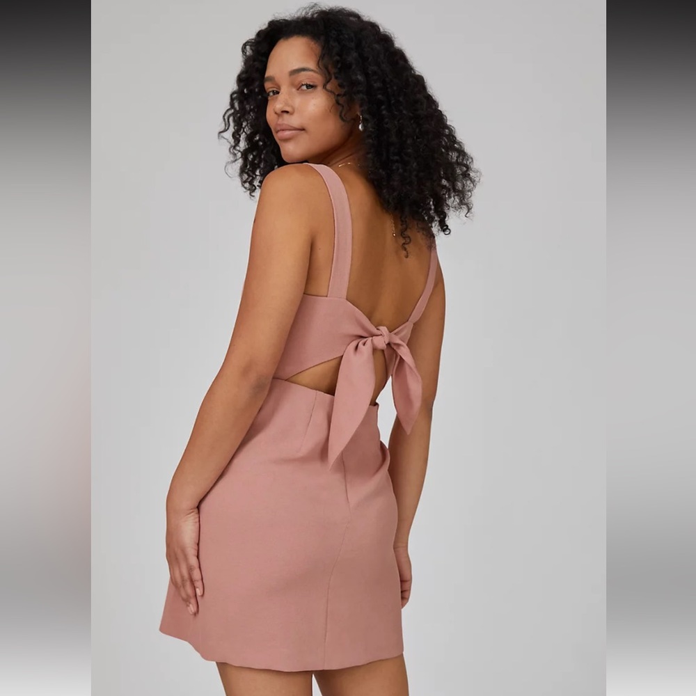 Aritzia Wilfred Écoulement Dress